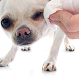 Sguardo radioso: 100 ml Detergente Occhi per Cani e Gatti Animali domestici