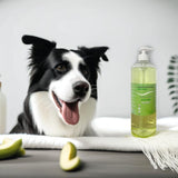 Aloe Vera Shampoo: Care for and Beautify your Pet's Coat 500ml