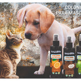 Maintenance Pack (Manzana Colony)