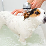 Shampoo Especial para Branco Radiante: Ilumine a pelagem do seu animal de estimação com um Dazzling White 5L